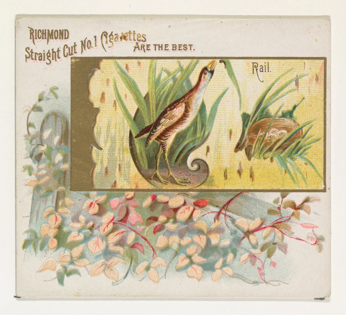 Rail, from the Game Birds series (N40) for Allen & Ginter Cigarettes by Allen & Ginter, print, 1888-1890