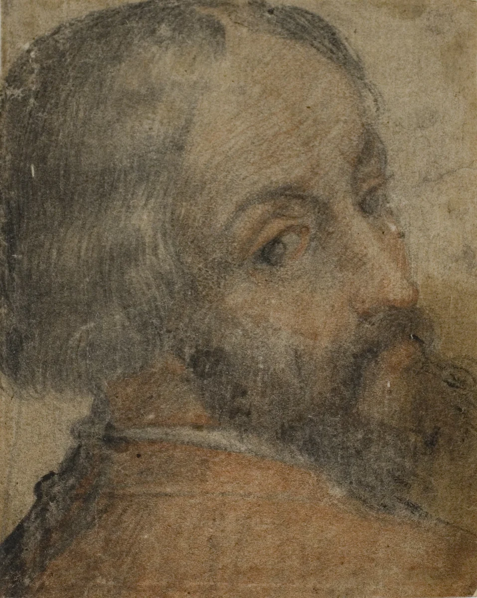 Portrait of Bearded Man (Lodovico Ariosto?) by Italian Mid-16th Century, drawing, 1550-1559