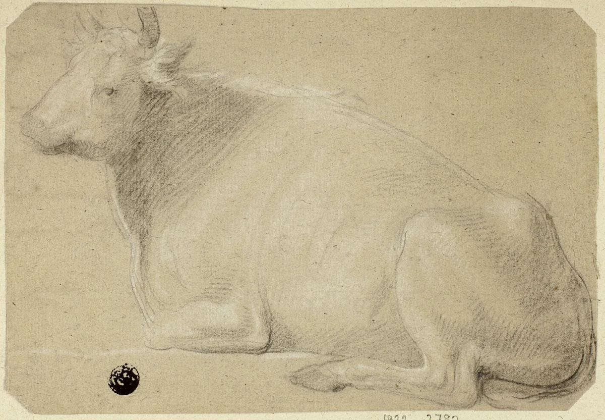 Cow Lying on Haunches by Unknown Artist, drawing, 1800-1899