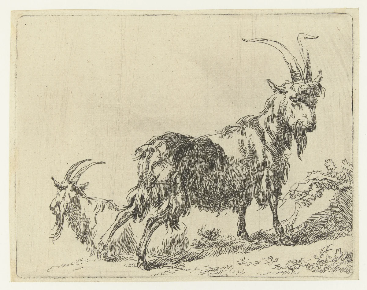 Twee geiten of bokken by Nicolaes Pietersz Berchem, print, 1648-1652