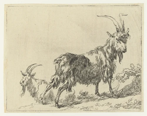 Twee geiten of bokken by Nicolaes Pietersz Berchem, print, 1648-1652