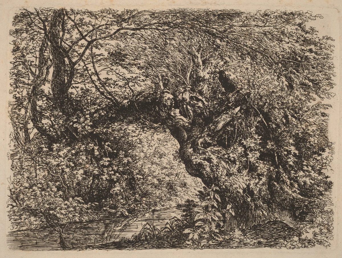 An Old Willow by a Stream by Johann Georg von Dillis, print, 1793