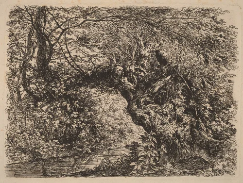 An Old Willow by a Stream by Johann Georg von Dillis, print, 1793