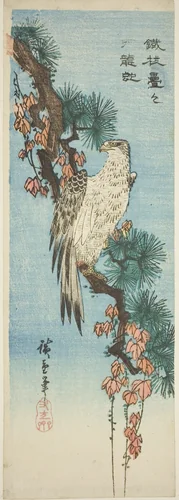 Falcon on ivy-covered pine branch by Utagawa Hiroshige (歌川広重), print, 1830-1839
