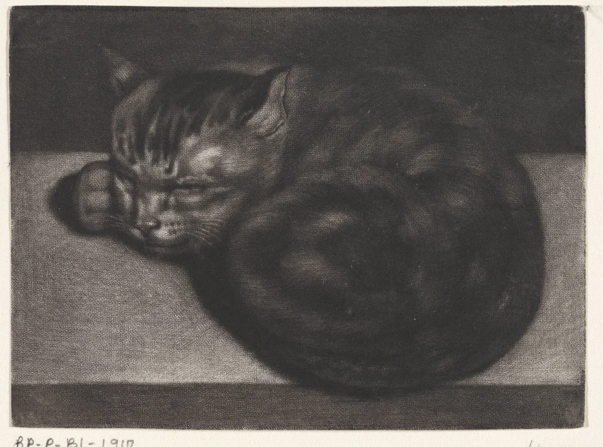 Slapende kat by Abraham Bloteling, print, 1675-1690