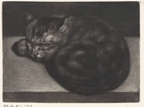 Slapende kat by Abraham Bloteling, print, 1675-1690