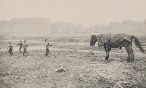 Horse and Children/Paris by Robert Frank, photograph, 1952