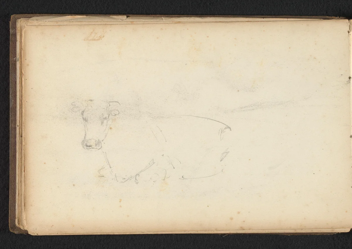 Koe by Jan Bedijs Tom, drawing, 1823-1894