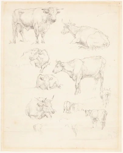 Studies of Cattle by Robert Hills, drawing, 1769-1844
