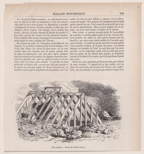 Mue anglaise, from "Le Magasin Pittoresque" by Charles Jacque, print, 1848-1864