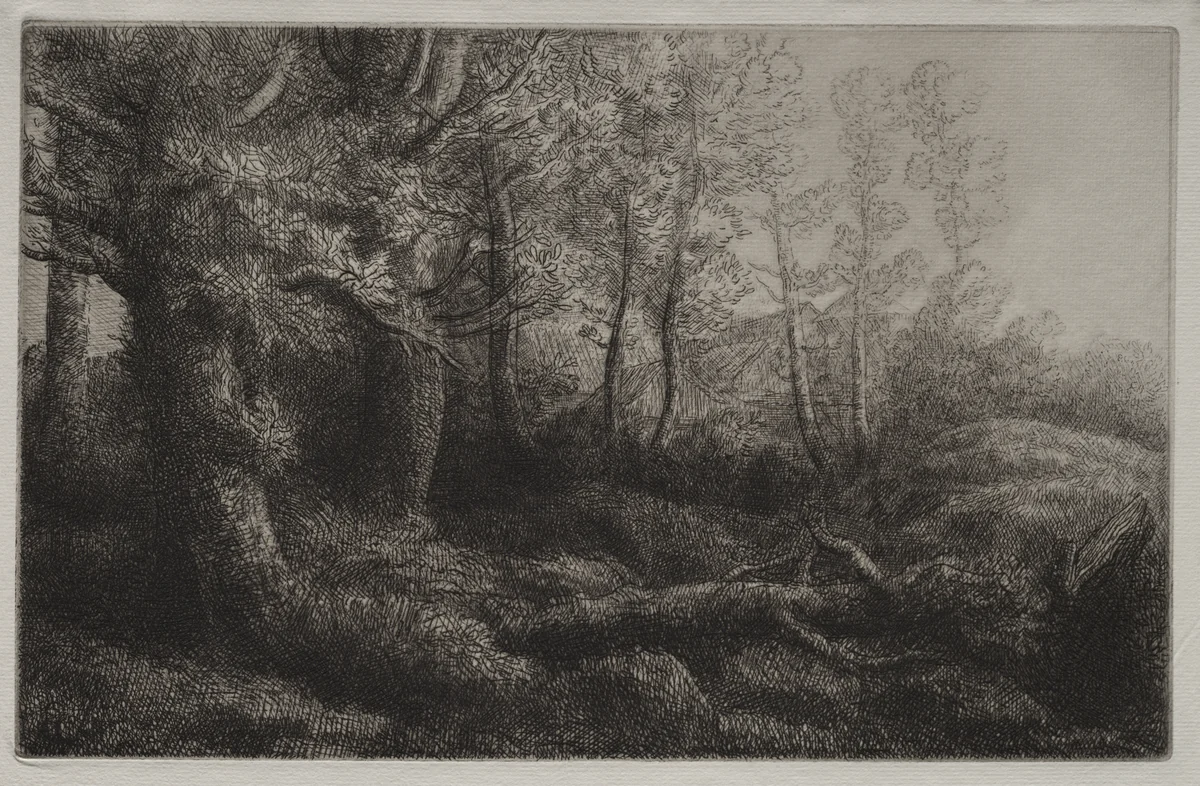 A Woodland Study by Alphonse Legros, print, 1857-1911
