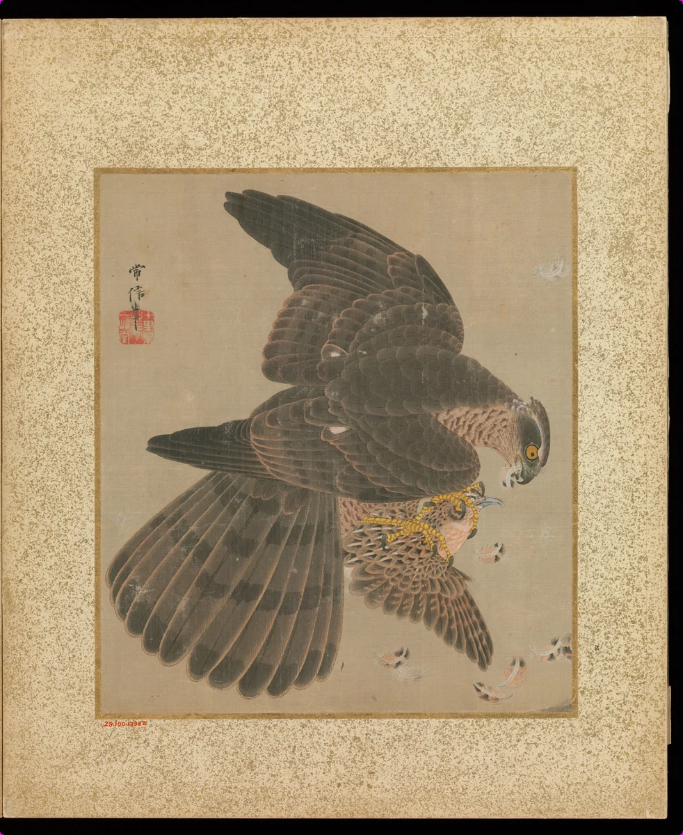 Album of Hawks and Calligraphy by Kano Tsunenobu, painting, 1636-1713