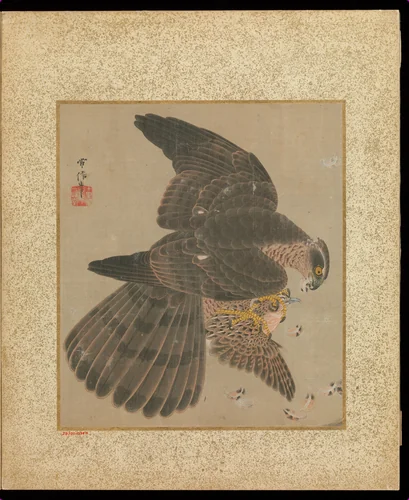 Album of Hawks and Calligraphy by Kano Tsunenobu, painting, 1636-1713