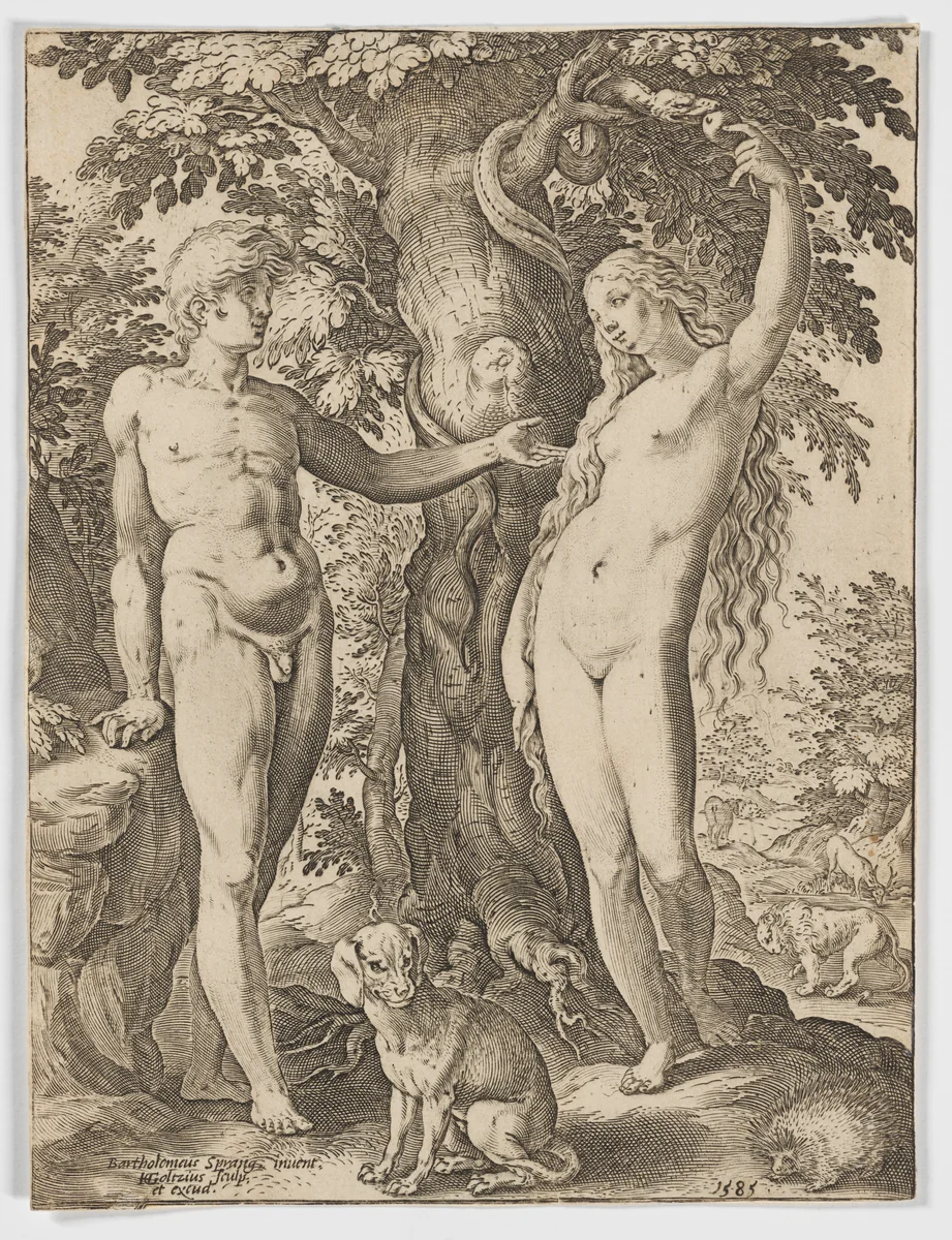 Adam and Eve by Hendrick Goltzius, print, 1585