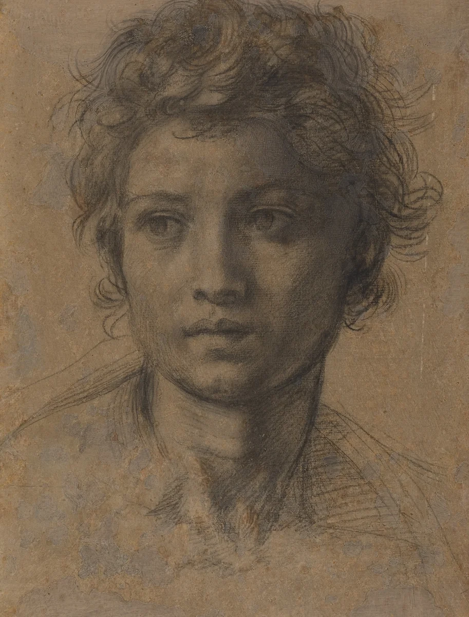 Head of Saint John the Baptist by Andrea del Sarto, drawing, 1523