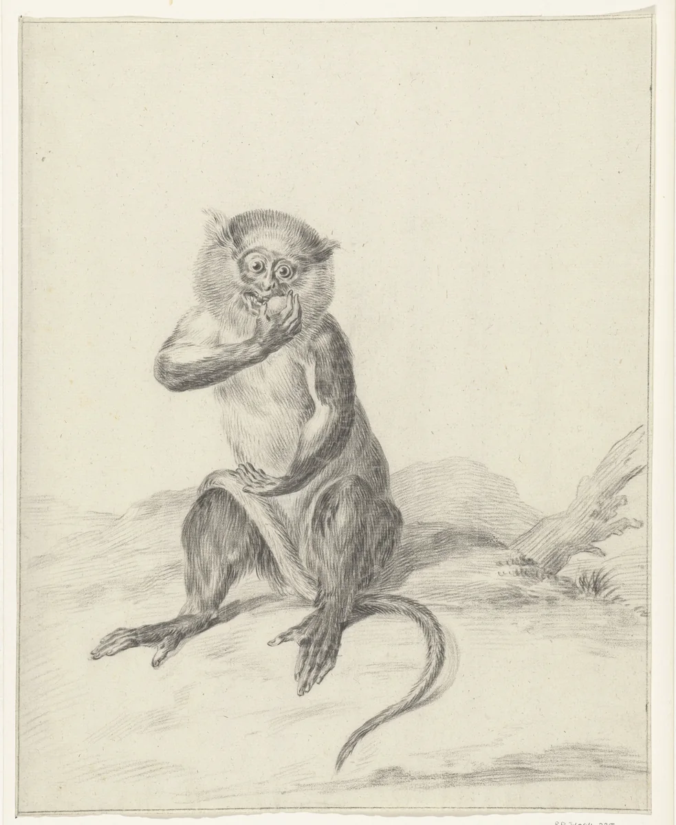 Zittend aapje, een vrucht etend by Jean Bernard, drawing, 1775-1833