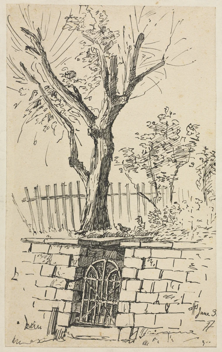 Tree on Top of a Stone Wall, Cleveland by Otto H. Bacher, drawing, 1865-1909