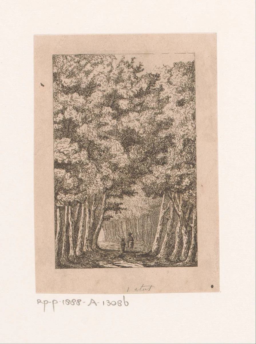 Laan in het bos in Ekeren by Jean Théodore Joseph Linnig, print, 1839