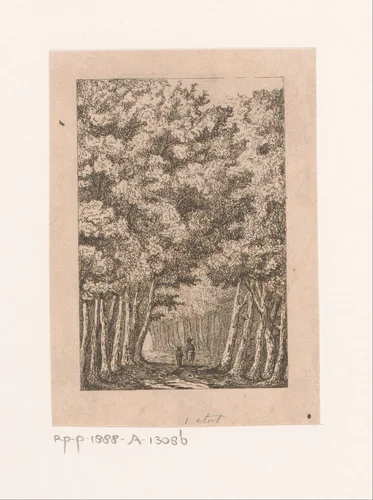 Laan in het bos in Ekeren by Jean Théodore Joseph Linnig, print, 1839