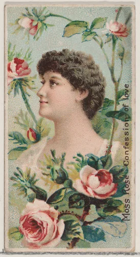 Moss Rose: Confession of Love, from the series Floral Beauties and Language of Flowers (N75) for Duke brand cigarettes by American Tobacco Company, print, 1892