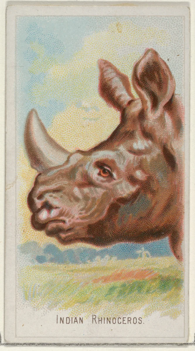 Indian Rhinoceros, from the Wild Animals of the World series (N25) for Allen & Ginter Cigarettes by Allen & Ginter, print, 1888