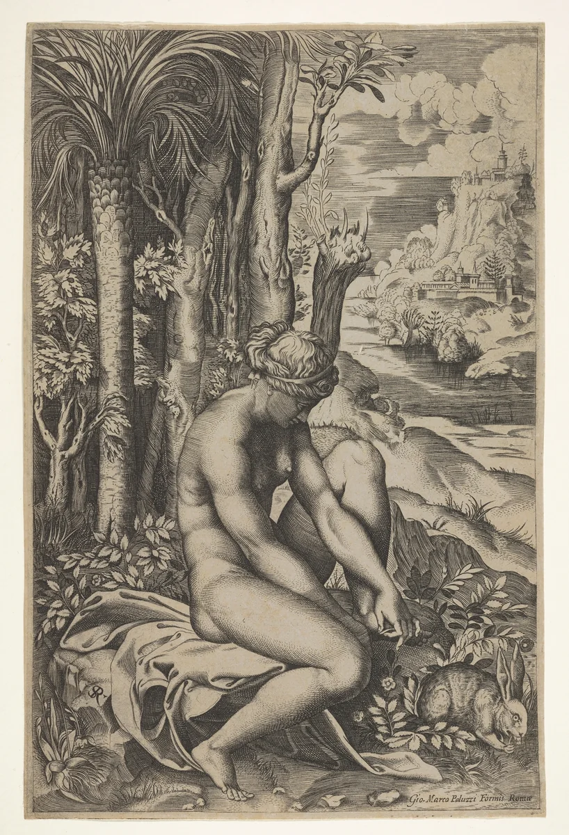 Venus removing a thorn from her left foot while seated on a cloth beside trees and foliage, a hare eating grass before her by Marco Dente, print, 1516