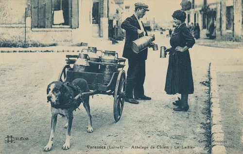 Attelage de chien, Le laitier, Varennes (Loiret) by Unidentified Photographer, photograph, 1925