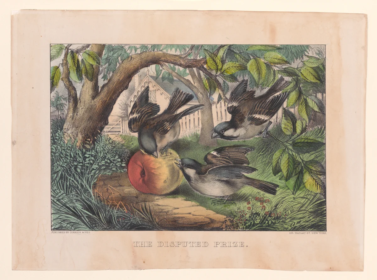 The Disputed Prize by Currier & Ives, print, 1868-1878