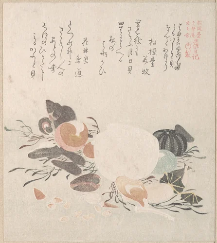 Various Shells with Sea Weeds by Kubo Shunman (窪俊満), print, 1800-1899