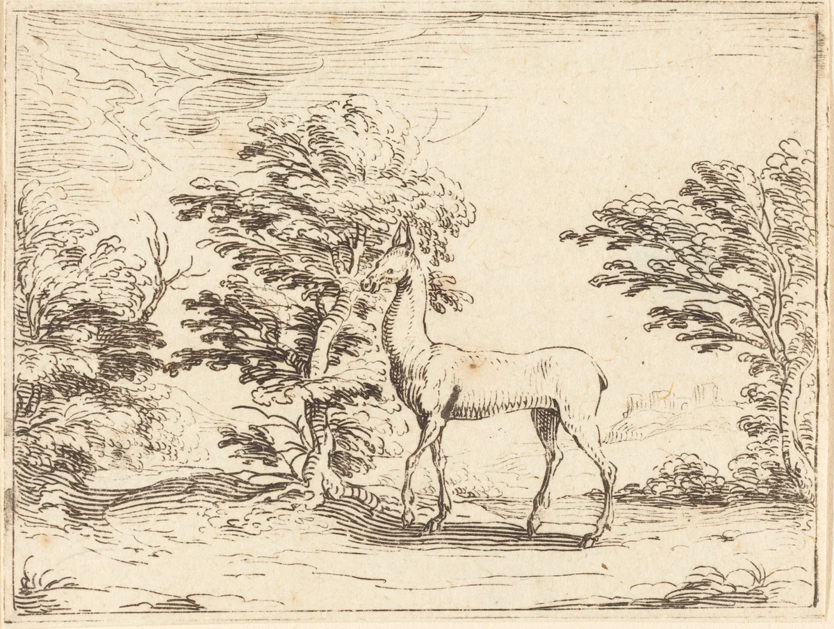 The Doe by Jacques Callot, print, 1592-1635
