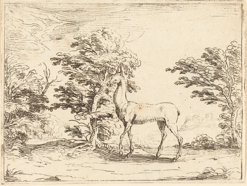 The Doe by Jacques Callot, print, 1592-1635