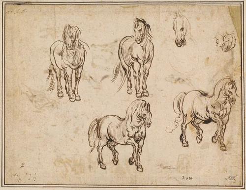 Studies of Horses [recto] by Jacques Callot; Antonio Tempesta, drawing, 1607-1617