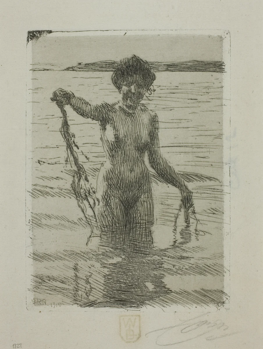 Seaweed by Anders Zorn, print, 1910