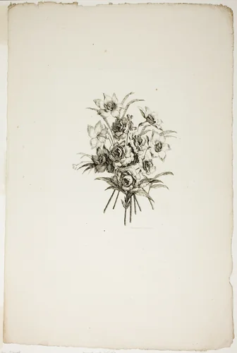 Bouquet with Daffodils, from Collection of Different Bouquets of Flowers, Invented and Drawn by Jean Pillement and Engraved by P. C. Canot by Pierre-Charles Canot, print, 1760