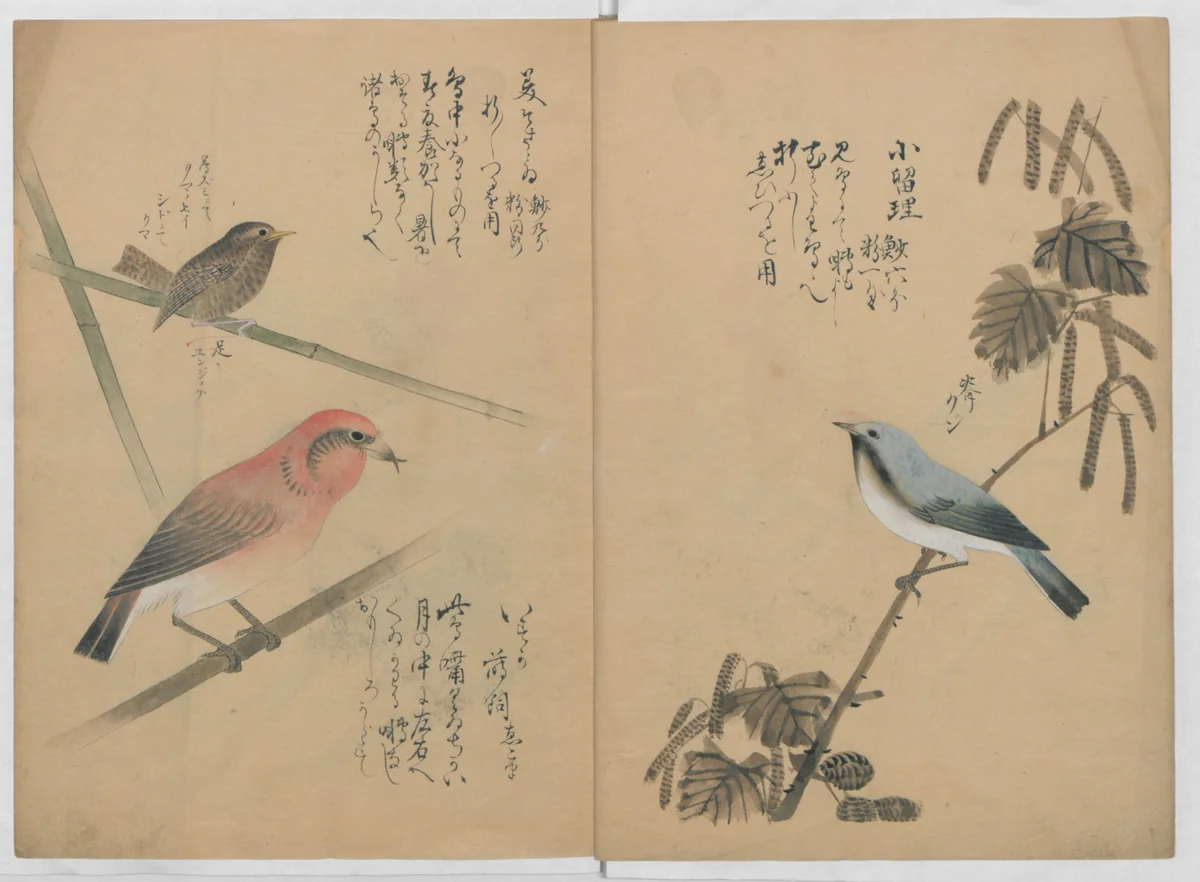 A Compendium of Small Birds (Kotori rui shū) 小鳥類集 by Nantō, book, 1836