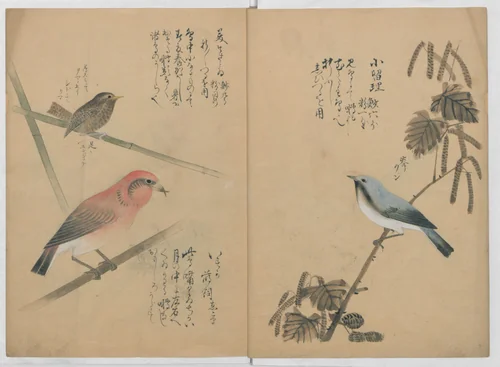 A Compendium of Small Birds (Kotori rui shū) 小鳥類集 by Nantō, book, 1836
