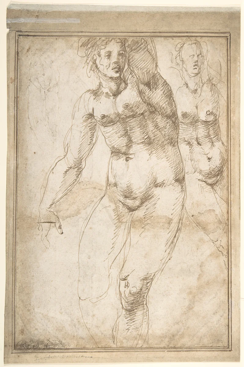 Nude Figure Studies (recto); Sheet of Figure Studies (verso) by anonymous, drawing, 1500-1599