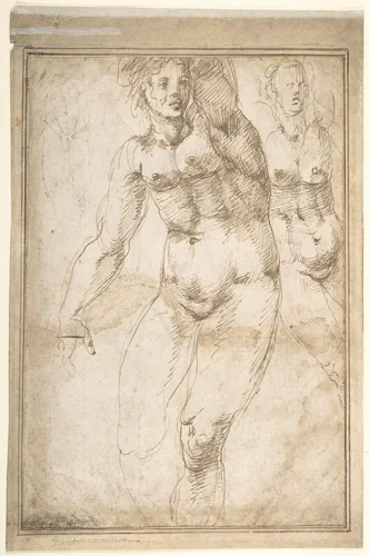 Nude Figure Studies (recto); Sheet of Figure Studies (verso) by anonymous, drawing, 1500-1599