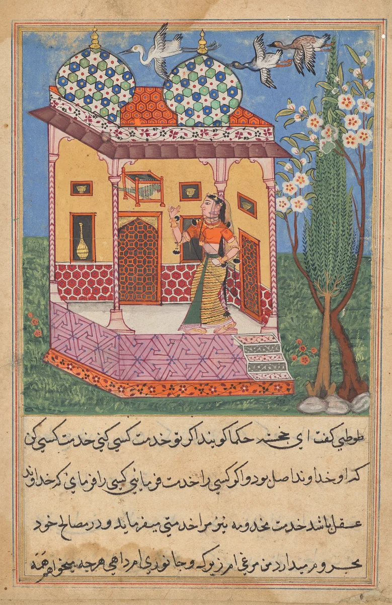 The Parrot Addresses Khujasta at the Beginning of the Twenty-sixth Night, from a Tuti-nama (Tales of a Parrot) by Unknown, painting, 1555-1565