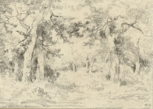 Bosgezicht in de zomer by Narcisse Virgile Diaz de la Peña, drawing, 1818-1876