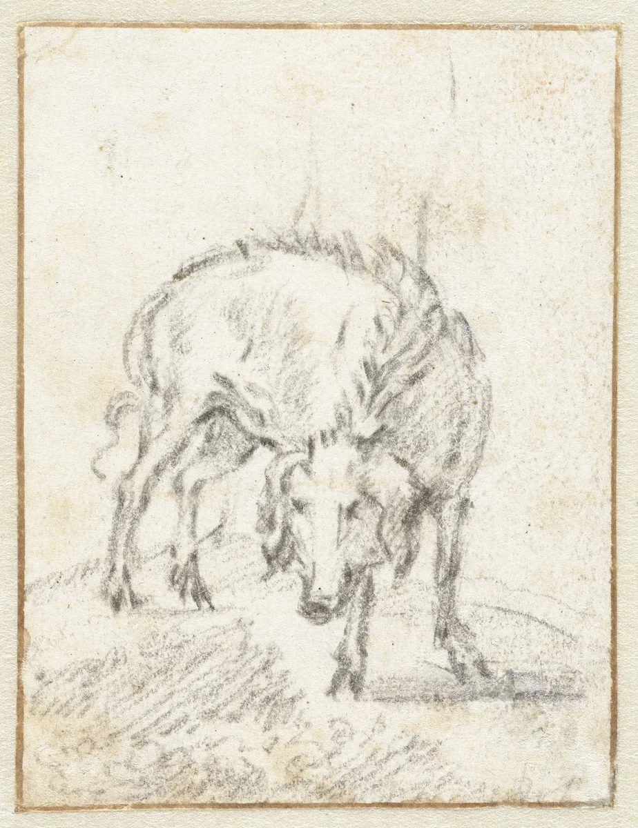 Wild varken by Paulus Potter, drawing, 1635-1654