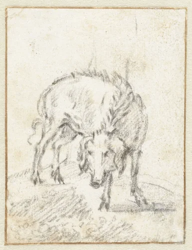 Wild varken by Paulus Potter, drawing, 1635-1654