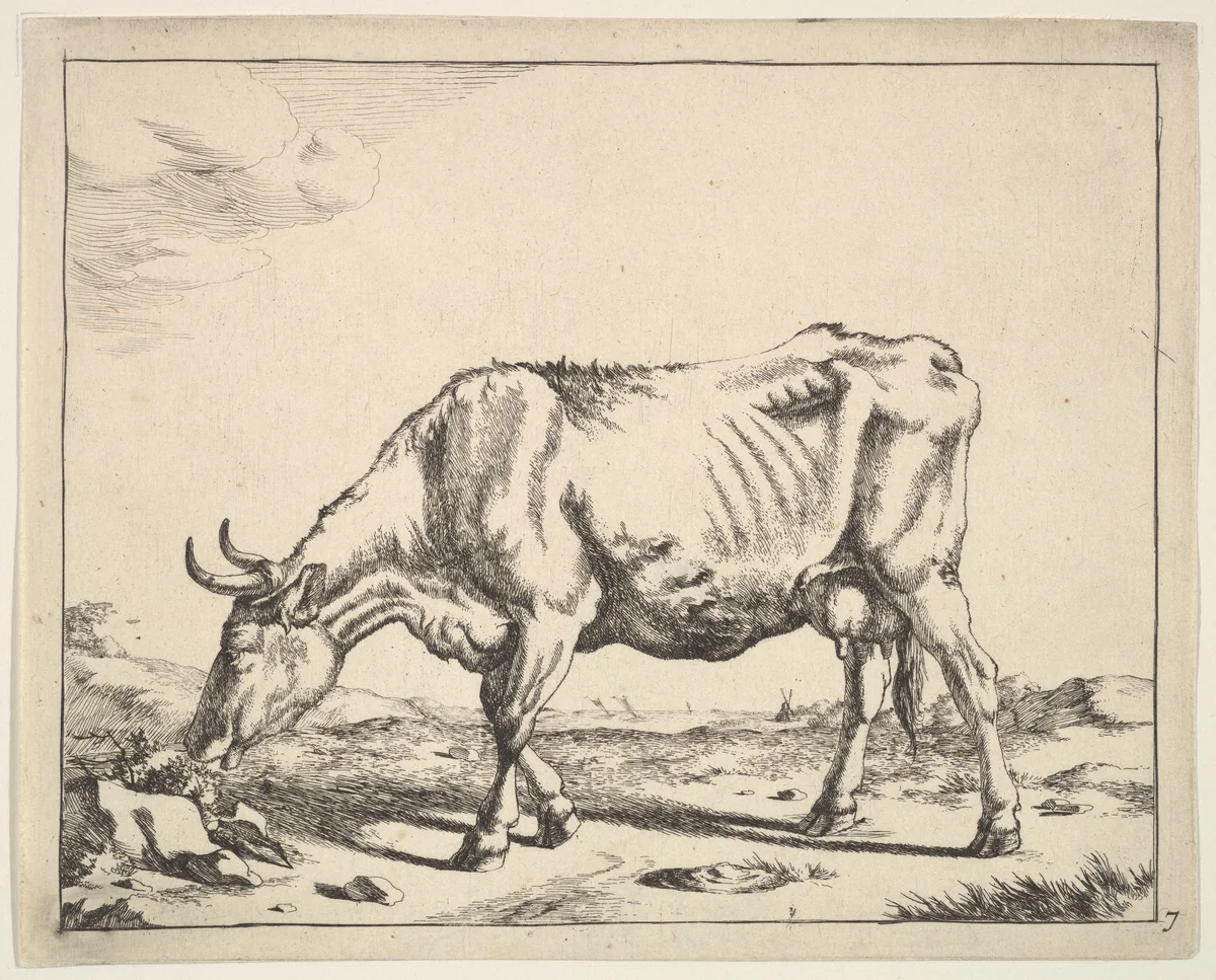 Cow, after Paulus Potter by Marcus de Bye, print, 1650-1690