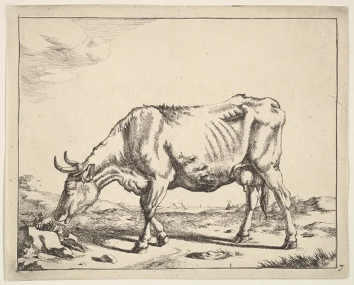 Cow, after Paulus Potter by Marcus de Bye, print, 1650-1690
