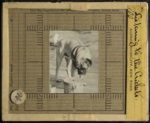 Listening to the Crickets by Alfred Stieglitz, other, 1895-1905