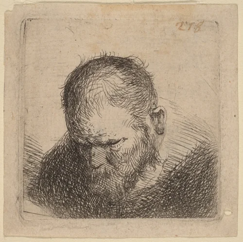 Bearded Man Looking Down by Rembrandt van Rijn, print, 1631