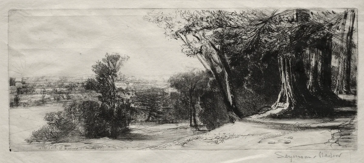Early Morning, Richmond Park by Francis Seymour-Haden, print, 1854-1864