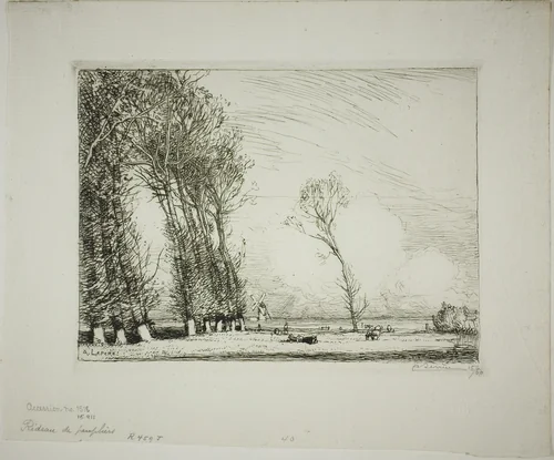 Screen of Poplars by Louis Auguste Lepère, print, 1911