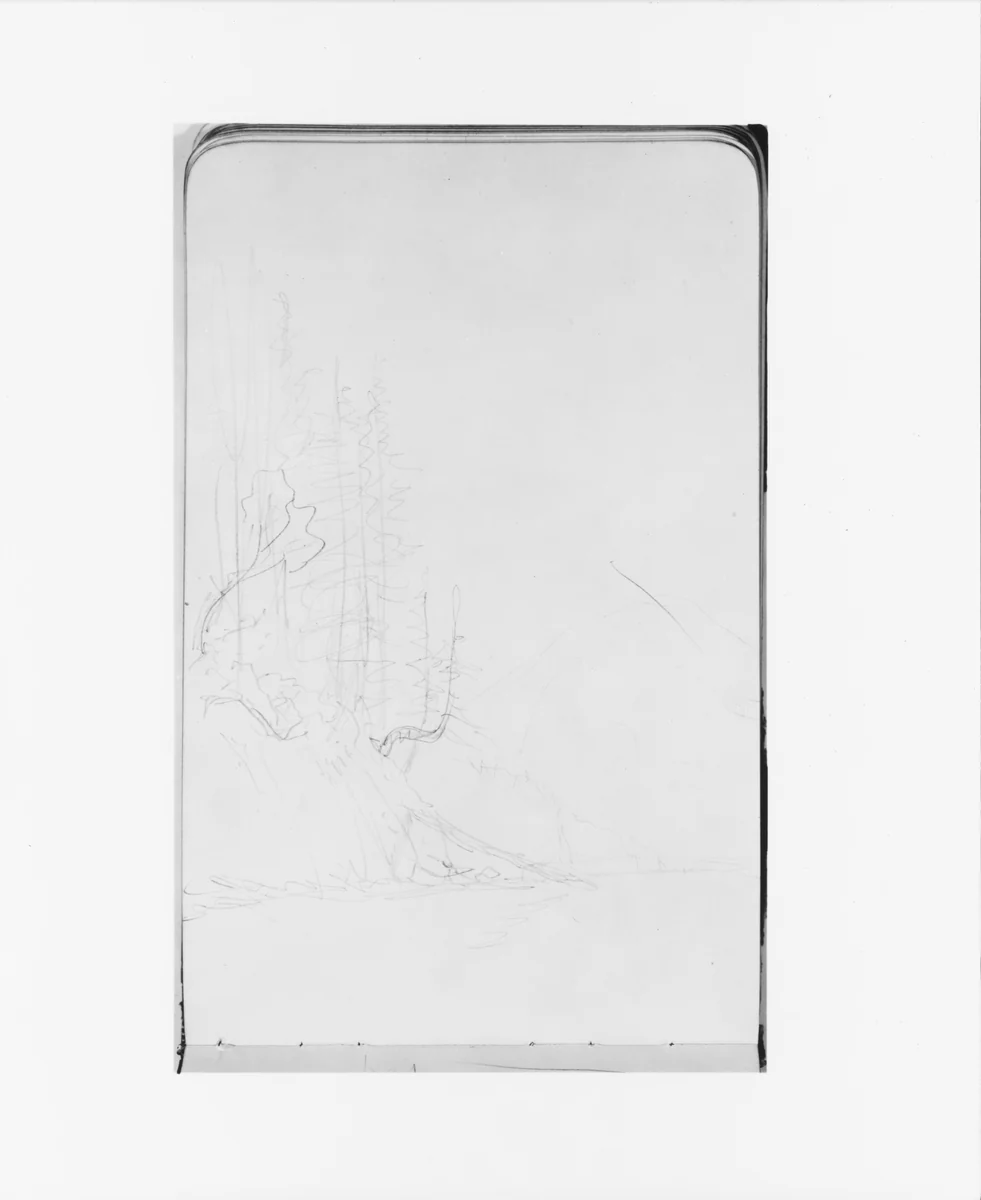 Trees on a Cliffside with a Mountain in the Background (from Sketchbook) by Albert Bierstadt, artwork, 1890