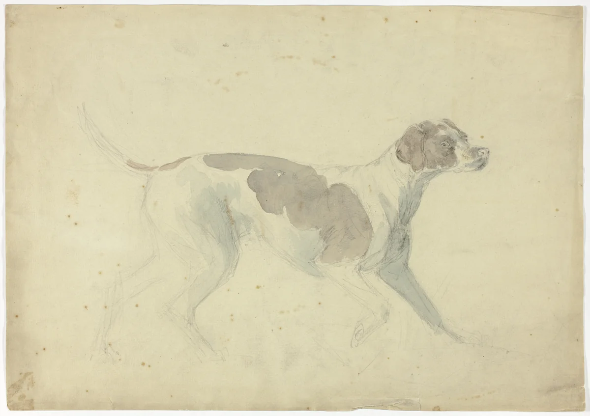 Fox Hound (recto); Sketches of Horse and Rider (verso) by Sawrey Gilpin, painting, 1753-1807